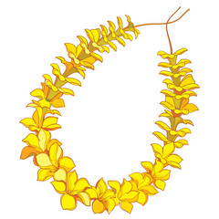 Outline Hawaiian lei necklace from tropical Allamanda yellow flower and petal isolated on white background.