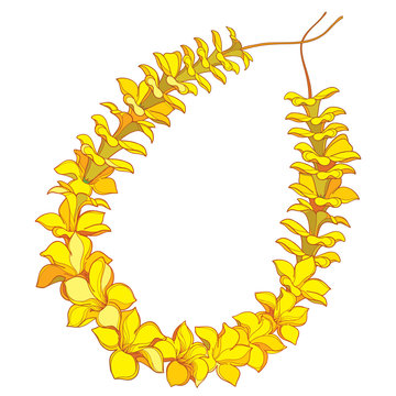 Outline Hawaiian lei necklace from tropical Allamanda yellow flower and petal isolated on white background.