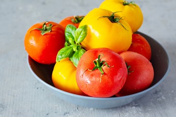 Fresh ripe red and yellow tomatoes and basil leaves in a gray bowl on a gray background. Healthy eating concept.