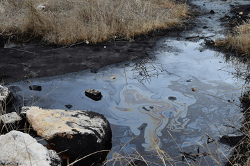 tar water asphalt pit in swamp