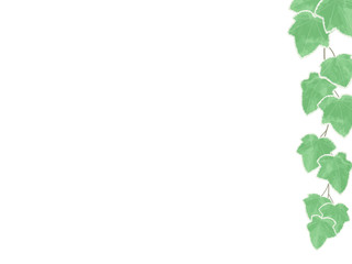 アイビーのフレームイラスト_右