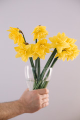 Man is holding bouquet of yellow flowers narcissuses in the glass vase on the grey background