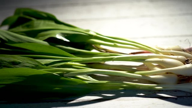Fresh ramps on a white distressed wood background backlit.