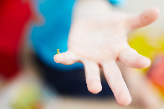 Little Green Caterpillar Crawls On The Child's Finger. Tiny And Very Hungry Caterpillar.