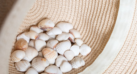 Fototapeta na wymiar White shells in a straw hat: a place for text