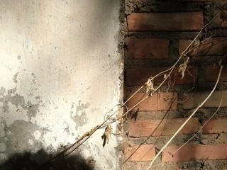 old grunge wall with cracks