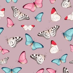 Vector pattern with high detailed tropic butterfly