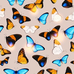Vector pattern with high detailed tropic butterfly
