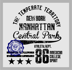 New york Manhattan tshirt print embroidery graphic design vector art