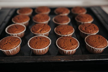 Chocolate muffins bakery. Brownie cupcakes on the baking pan. Baking at home, home bakery.