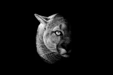 Foto op Plexiglas Cougar met een zwarte achtergrond in zwart-wit © AB Photography