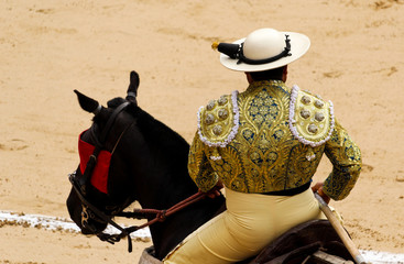 Picador taurino