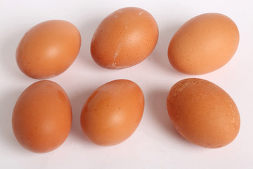huevos