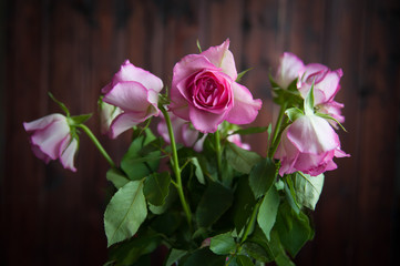 pink roses wither in a vase on a dark background