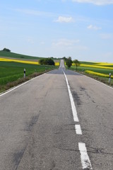 leere Eifelstraße im Frühling