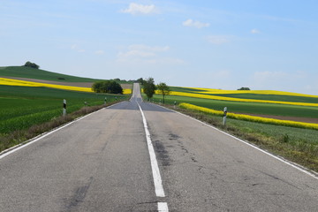 leere Eifelstraße im Frühling