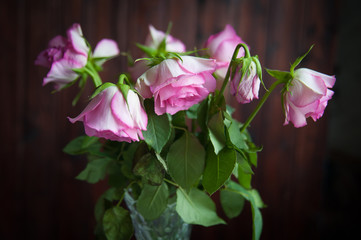 pink roses wither in a vase on a dark background