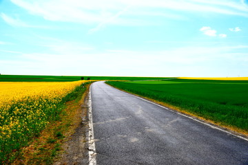 leere Eifelstraße im Frühling
