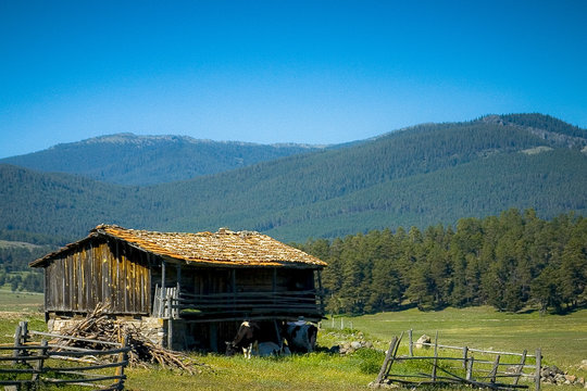 Old Barn In The Mountains