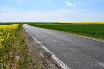 leere Eifelstraße im Frühling