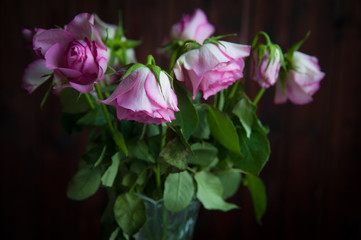 pink roses wither in a vase on a dark background