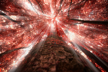 red forest background
