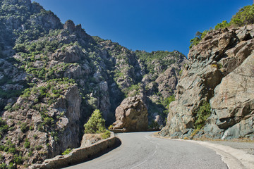 Fototapeta na wymiar mountain road in corsica