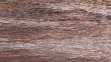 Brown wood texture. Abstract background, empty template