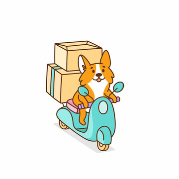 Welsh corgi dog rides on a motobike, with cardboard boxes. It can be used for card, brochures, poster, sticker etc. Vector image isolated on white background.