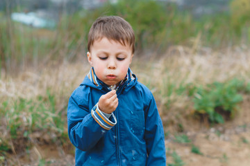 boy blowing on dandelion