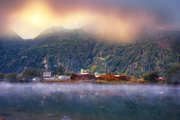 Fototapeta premium lake in the Poschiavo, Felled trees