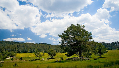 landscape with blue sky and clouds