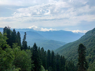 High mountains with green slopes of rocks are hidden in thick clouds and fog. Dense fog in the mountains on a clear sunny day.