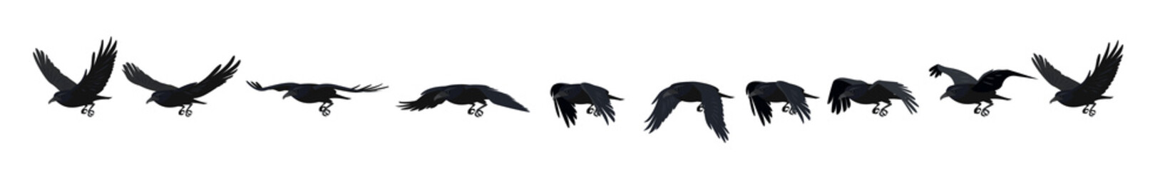 Основные RGB