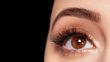 Beautiful macro photography of a woman's eye with extreme makeup of long lashes.