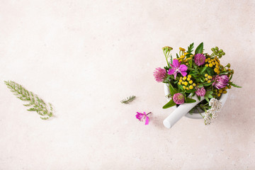 medical flowers herbs in mortar. clover milfoil tansy rosebay