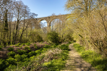 Fototapeta na wymiar Liskeard viaduct Cornwall in the Looe valley