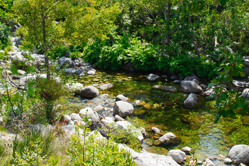 clear mountain river in corsica