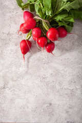 fresh raw radish on gray background