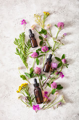 medical flowers herbs essential oils in bottles. alternative medicine. clover milfoil tansy rosebay