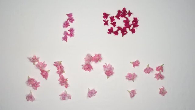 Mother's Day animation with flowers, spells "I [Heart] Mom" 4K