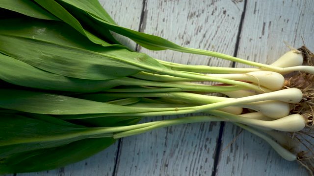 Flat lay of fresh ramps on a white distressed wood background backlit.
