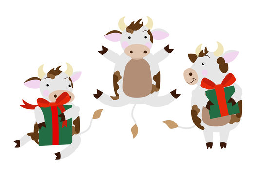 Three bulls are preparing for the celebration of Christmas. Pack gifts. Character in different poses: sitting with a gift box, standing and jumping. Vector image on a white background.