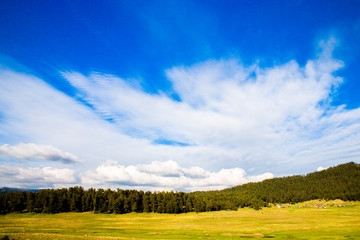 landscape with blue sky