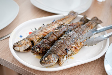 Gegrillte Forellen am Teller