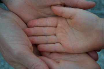 The palms of an adult and a child, mom and child.