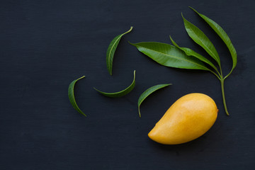 Ripe mango fruit with green leaf on black background