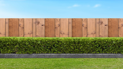 Fototapeta na wymiar Brown wooden fence and Green bush on a clear blue sky background