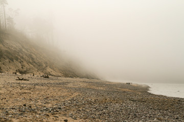 Heavy fog on a stranded beach