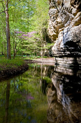 A small stream flows quietly beneath the wall of a sandstone canyon in a spring green landscape.